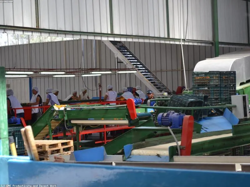 Productielijn in een food-fabriek